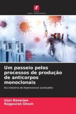 Um passeio pelos processos de produç?o de anticorpos monoclonais