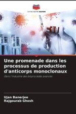 Une promenade dans les processus de production d'anticorps monoclonaux