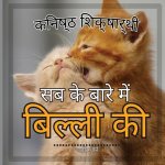 जूनियर शिक्षार्थी, बिल्ल