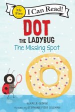 DOT THE LADYBUG MISSING DOT