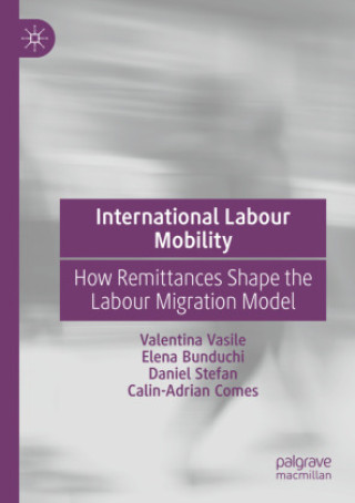 International Labour Mobility (Valentina Vasile,Elena Bunduchi,Daniel Stefan,Calin-Adrian Comes)(Brožovaná)