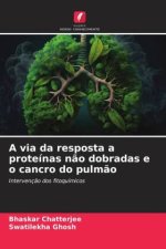 A via da resposta a proteínas n?o dobradas e o cancro do pulm?o