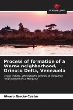 Process of formation of a Warao neighborhood, Orinoco Delta, Venezuela