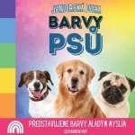 Juniorská Duha, Barvy Ps?