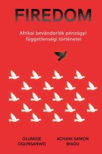 Afrikai bevándorlók pénzügyi függetlenségi történetei
