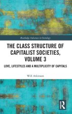 Class Structure of Capitalist Societies, Volume 3