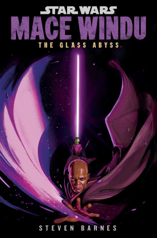 Star Wars: The Glass Abyss