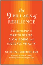 9 PILLARS OF RESILIENCE