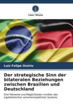 Der strategische Sinn der bilateralen Beziehungen zwischen Brasilien und Deutschland