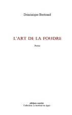 L’art de la foudre
