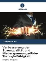 Verbesserung der Stromqualität und Niederspannungs-Ride-Through-Fähigkeit