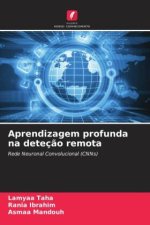 Aprendizagem profunda na deteç?o remota
