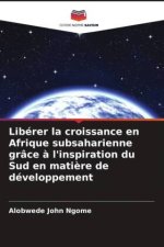 Libérer la croissance en Afrique subsaharienne grâce ? l'inspiration du Sud en mati?re de développement