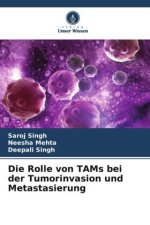 Die Rolle von TAMs bei der Tumorinvasion und Metastasierung