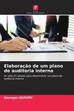 Elaboraç?o de um plano de auditoria interna