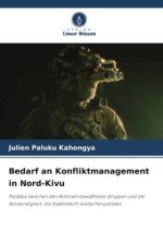 Bedarf an Konfliktmanagement in Nord-Kivu