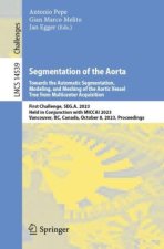 Segmentation of the Aorta