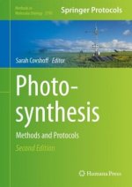 Photosynthesis