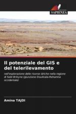 Il potenziale del GIS e del telerilevamento