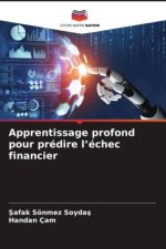 Apprentissage profond pour prédire l?échec financier
