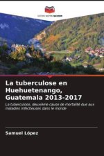 La tuberculose en Huehuetenango, Guatemala 2013-2017