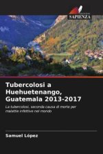 Tubercolosi a Huehuetenango, Guatemala 2013-2017