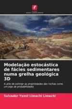 Modelaç?o estocástica de fácies sedimentares numa grelha geológica 3D