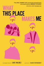 21st-Century American Plays on Immigration