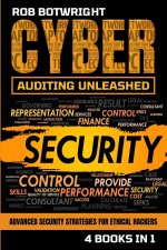 Cyber Auditing Unleashed