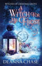 A Witch For Mr. Frost