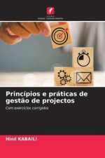 Princípios e práticas de gest?o de projectos