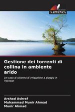 Gestione dei torrenti di collina in ambiente arido