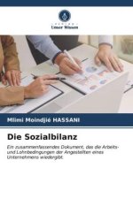 Die Sozialbilanz