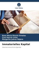 Immaterielles Kapital