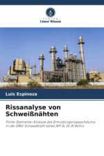 Rissanalyse von Schweißnähten
