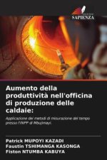 Aumento della produttivit? nell'officina di produzione delle caldaie: