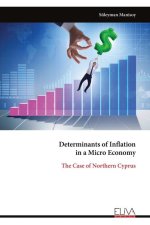 Determinants of Inflation in a Micro Economy