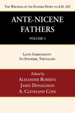 Ante-Nicene Fathers: Translations of the Writings of the Fathers Down to A.D. 325, Volume 3