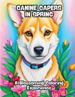 Canine Capers in Spring