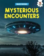Mysterious Encounters