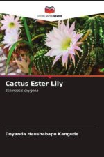 Cactus Ester Lily