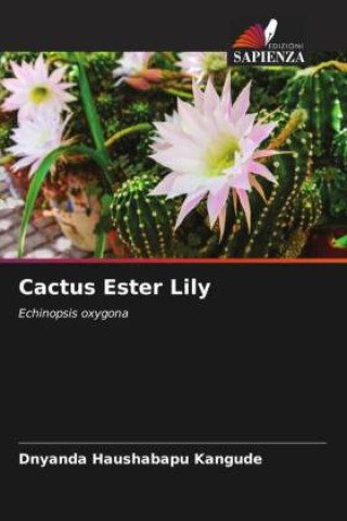 Cactus Ester Lily