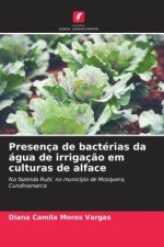 Presença de bactérias da água de irrigaç?o em culturas de alface