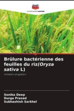 Br?lure bactérienne des feuilles du riz(Oryza sativa L)