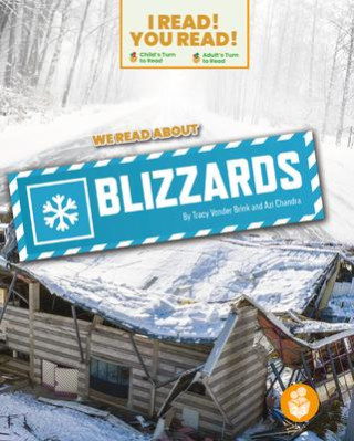 We Read about Blizzards