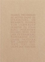 Figures mEconnues de Notre-Dame de Strasbourg /franCais/anglais/allemand