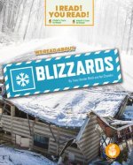 We Read about Blizzards