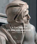 Sagrestia di Michelangelo. Nuovi studi e restauro