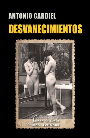 Desvanecimientos