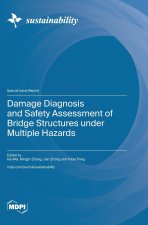 Damage Diagnosis and Safety Assessment of Bridge Structures under Multiple Hazards
